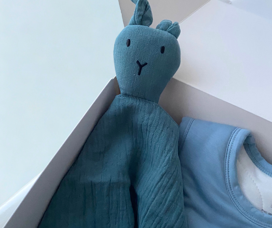 Baby Sleep Gift Set - Blue